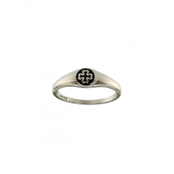 Επιπλατινωμένο Δαχτυλίδι από ασήμι 925 (GI8-010R.1)